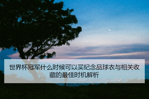 世界杯冠军什么时候可以买纪念品球衣与相关收藏的最佳时机解析