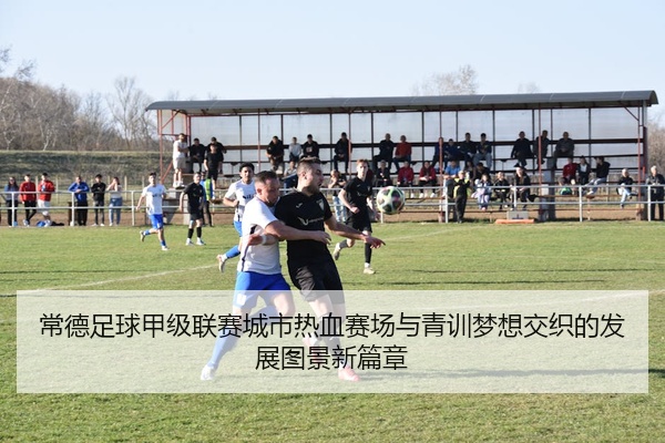 常德足球甲级联赛城市热血赛场与青训梦想交织的发展图景新篇章