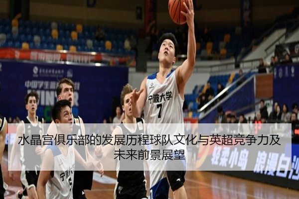 水晶宫俱乐部的发展历程球队文化与英超竞争力及未来前景展望