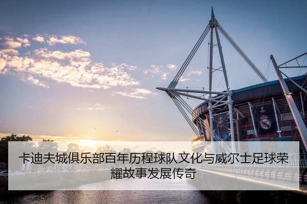 卡迪夫城俱乐部百年历程球队文化与威尔士足球荣耀故事发展传奇