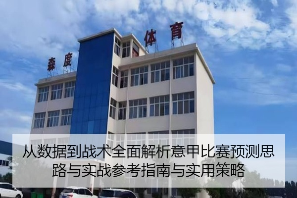 从数据到战术全面解析意甲比赛预测思路与实战参考指南与实用策略